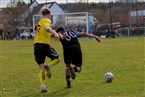 Türkspor Nürnberg - SC Adelsdorf (19.03.2023)