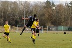 Türkspor Nürnberg - SC Adelsdorf (19.03.2023)