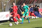 FSV Stadeln - TSV Neudrossenfeld (25.03.2023)