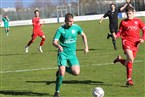 FSV Stadeln - TSV Neudrossenfeld (25.03.2023)