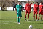 FSV Stadeln - TSV Neudrossenfeld (25.03.2023)