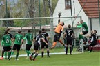 TSV Johannis 83 Nürnberg - TSV Fischbach (16.04.2023)