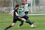 TSV Johannis 83 Nürnberg - TSV Fischbach (16.04.2023)