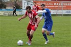 TSV Buch 2 - SGV Nürnberg-Fürth 1883 (16.04.2023)