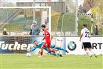 SV Seligenporten - TSV Buch (29.04.2023)
