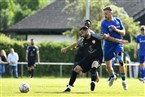 Türkspor Nürnberg - ASV Weisendorf (21.05.2023)