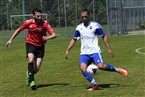 TB St. Johannis 88 Nürnberg 3 - DJK BFC Nürnberg 2 (04.06.2023)