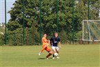 TSV Altenberg 2 - FC Stein (17.09.2023)