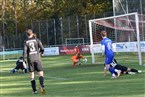 SF Laubendorf - TSV Langenzenn (15.10.2023)