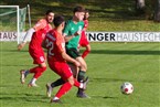 TSV Neunkirchen am Brand - Vatan Spor Nürnberg (22.10.2023)
