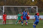 TSV Langenzenn - FSV Stadeln 3 (12.11.2023)