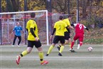 TSV Rothenburg - SV Losaurach (18.11.2023)