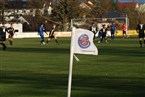 TSV Langenzenn - (SG) Flachslanden/Rügland (19.11.2023)