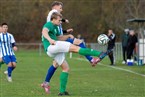 TSV Ammerndorf - ASV Veitsbronn-Siegelsdorf 2 (19.11.2023)