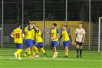 Türkischer SV Fürth - TSV Buch 3 (19.11.2023)