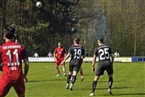 TSV Kornburg - SpVgg Bayern Hof (06.04.2024)
