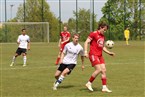 TSV Altenberg 2 - 1. FC Kalchreuth 2 (28.04.2024)