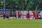 FC Serbia Nürnberg 2 - SpFrd Großgründlach (01.05.2024)