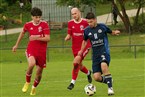 SC Germania Nürnberg - SpVgg Mögeldorf 2000 Nürnberg (15.09.2024)