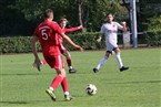 TSC Neuendettelsau - SC Aufkirchen (15.09.2024)
