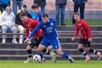 SV Schwaig - FSV Stadeln (16.11.2024)