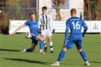 FSV Stadeln - SV Gutenstetten-Steinachgrund (23.11.2024)