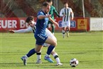 FSV Stadeln - SV Gutenstetten-Steinachgrund (23.11.2024)