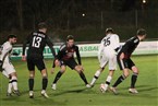 TSV Buch - FSV Stadeln (29.11.2024)