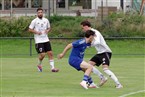 SC Germania Nürnberg - SGV Nürnberg-Fürth 1883 (03.08.2025)