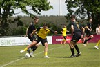 SV Losaurach ll - SG Puschendorf/Tuchenbach (10.05.2026)
