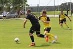 SV Losaurach ll - SG Puschendorf/Tuchenbach (10.05.2026)
