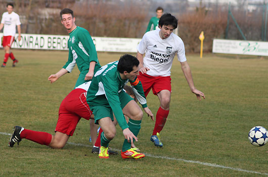 Basogul mit schwerem Stand