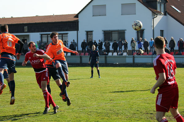 FSV Stadeln - SV Seligenporten U23