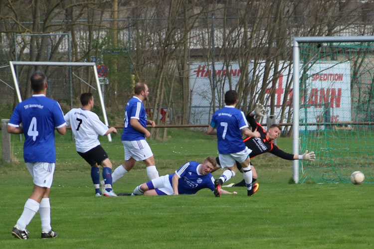 Satte 85 Mal klingelte es in den bisherigen Partien im Kasten des TSV Ammerndorf (in blau), der stark in Richtung A-Klasse taumelt. | Foto: Pierre König