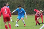 Turnerschaft Fürth - TSV Buch 2 (06.11.2022)