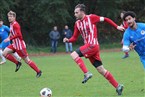 Turnerschaft Fürth - TSV Buch 2 (06.11.2022)
