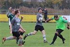 SpFrd Großgründlach - SV Seukendorf (06.11.2022)