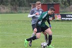 SpFrd Großgründlach - SV Seukendorf (06.11.2022)