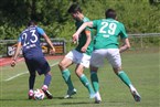 ASV Veitsbronn-Siegelsdorf - SSV Elektra Hellas Nürnberg (04.06.2023)