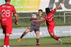 ASV Zirndorf - ASV Vach (16.08.2024)