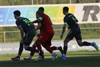 ASV Zirndorf - ASV Vach (16.08.2024)
