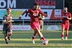 ASV Zirndorf - ASV Vach (16.08.2024)