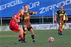 ASV Zirndorf - ASV Vach (16.08.2024)