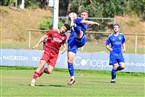 ASV Zirndorf - TSV Altenberg (31.08.2024)