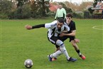 SV Eyüp Sultan Nürnberg - Tuspo Nürnberg (27.10.2024)