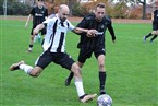 SV Eyüp Sultan Nürnberg - Tuspo Nürnberg (27.10.2024)