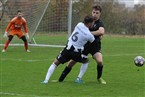 SV Eyüp Sultan Nürnberg - Tuspo Nürnberg (27.10.2024)