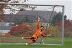 SV Eyüp Sultan Nürnberg - Tuspo Nürnberg (27.10.2024)