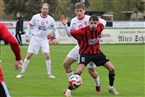 TSV Buch - SV Buckenhofen (02.11.2024)