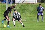 ASV Fürth - SV Eyüp Sultan Nürnberg (03.11.2024)